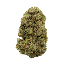 Grizzly Glue