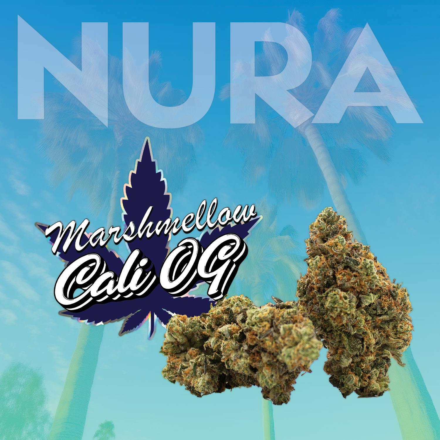 Marshmellow Cali OG - Nura