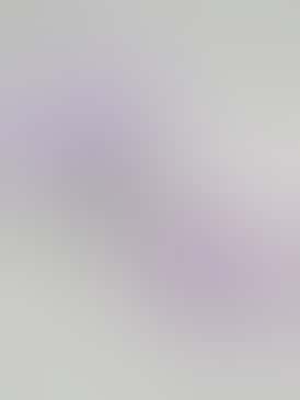 Pre Roll 4pk - Mixed INDICA & SATIVA Pack