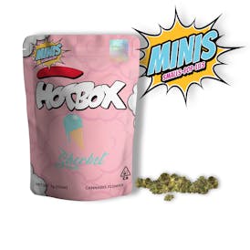 HOTBOX | Ice Cream Sherbet Hybrid Minis (7g or 1/4 oz) Indoor Flower
