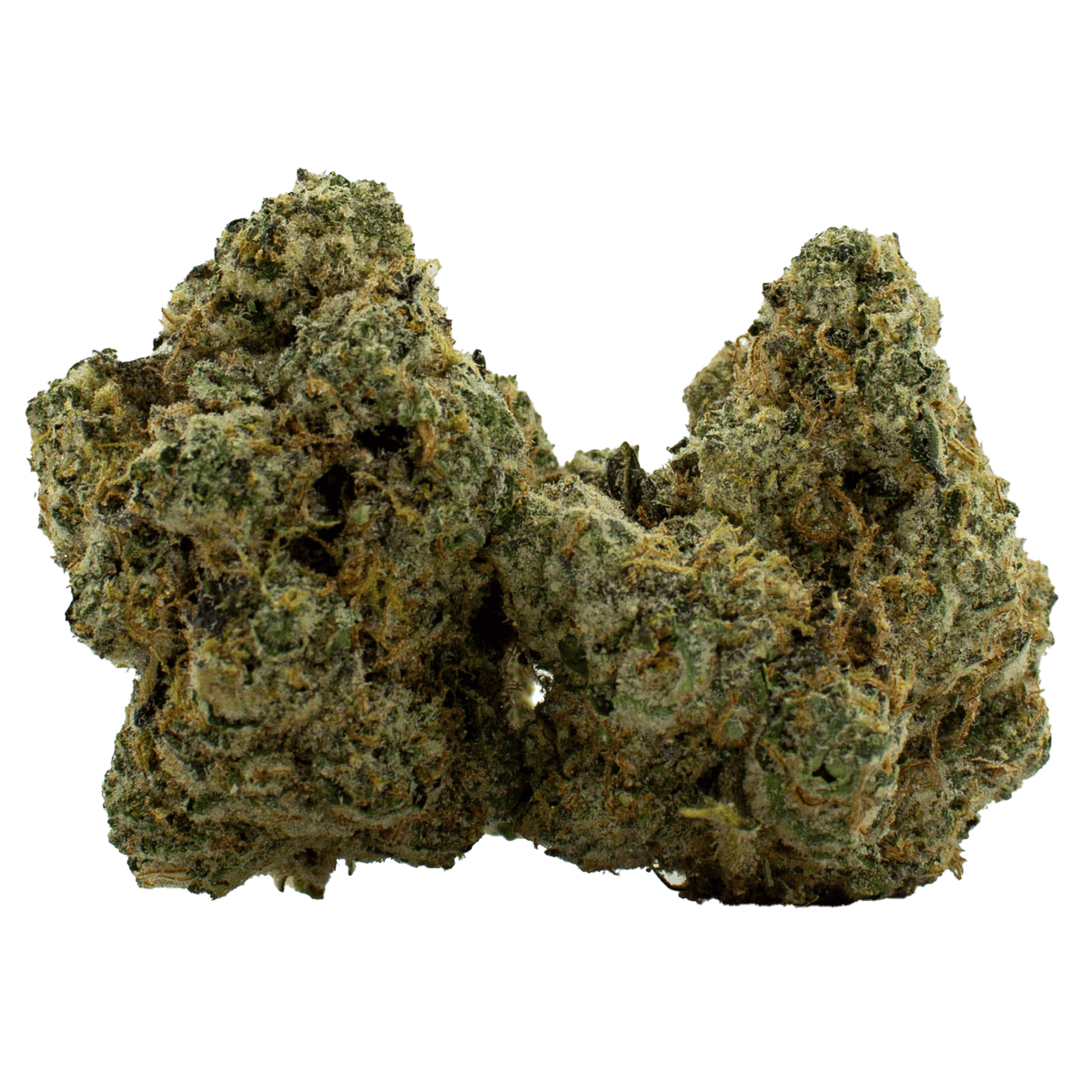 Glueberry