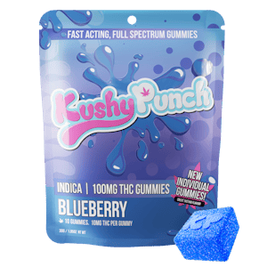 KUSHY PUNCH - Blueberry | Kushy Punch