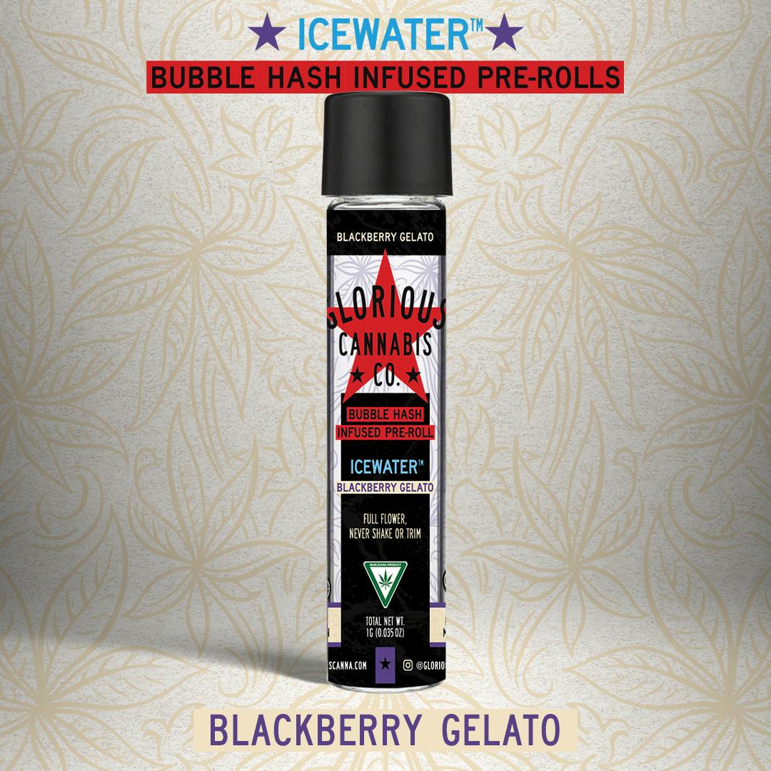 Blackberry Gelato 1G ICEWATER Bubble Hash Infused Glorious Cannabis