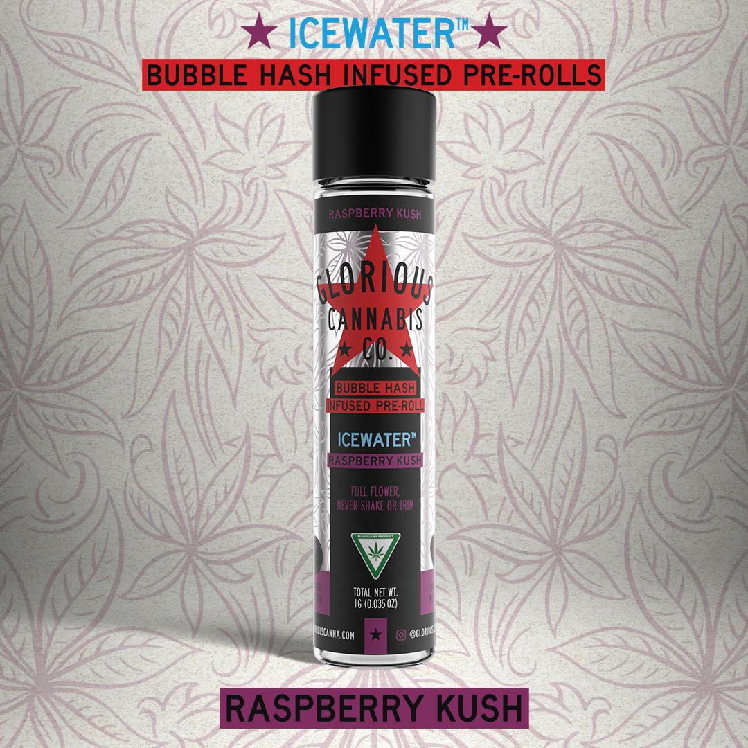 Raspberry Kush 1G | Bubble Hash Infused Pre-Roll | Glorious Cannabis Co ...