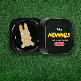 Hashimals - Bunny - 1.5 Grams