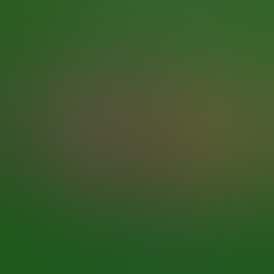 Hashimals - T-Rex - 0.5 Grams