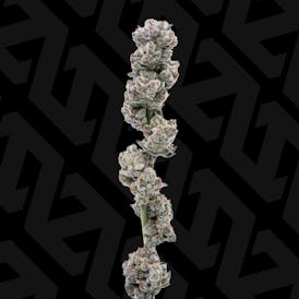 Cookies & Cream — Popcorn