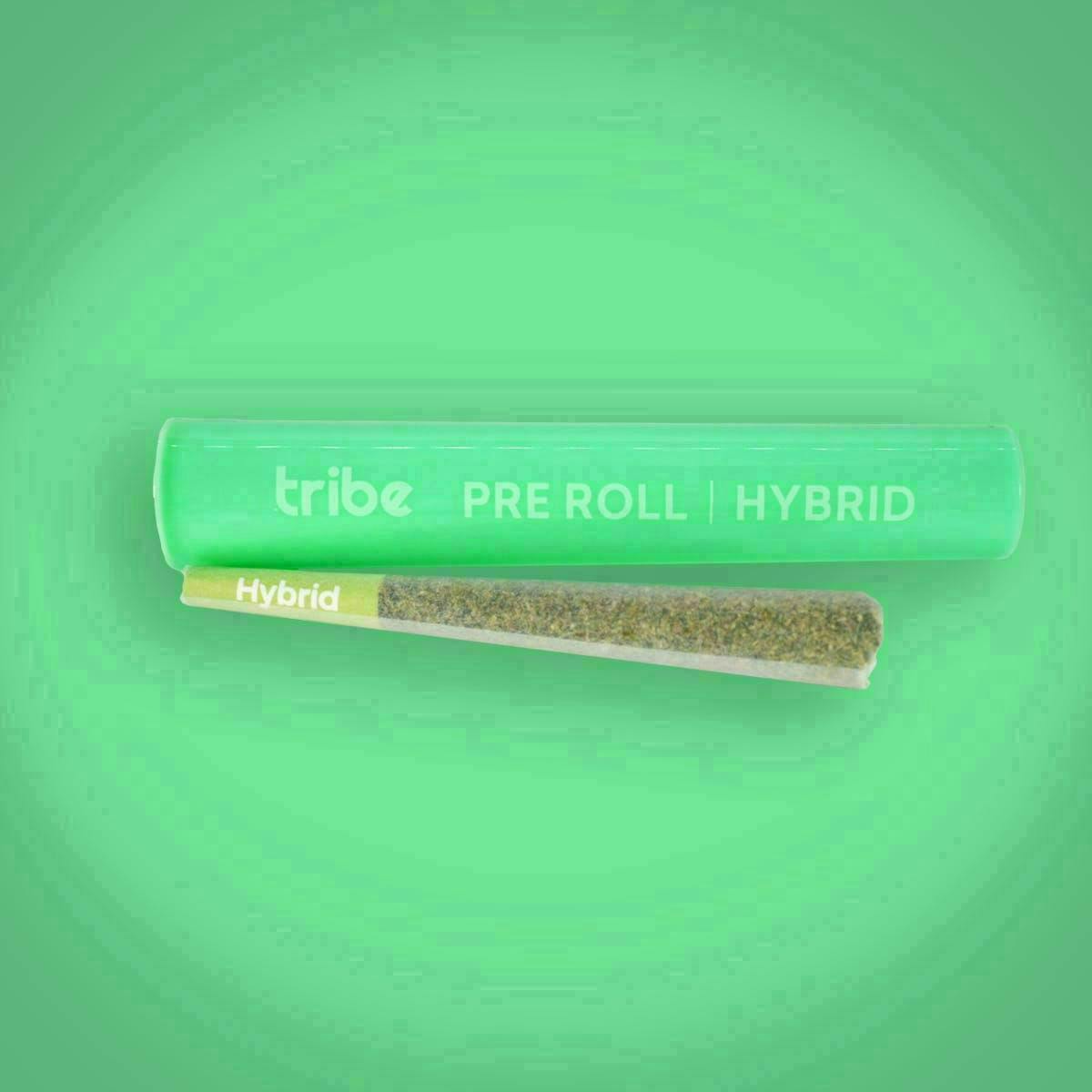 Tribe | Chocolate Hashberry | Joint | 1g