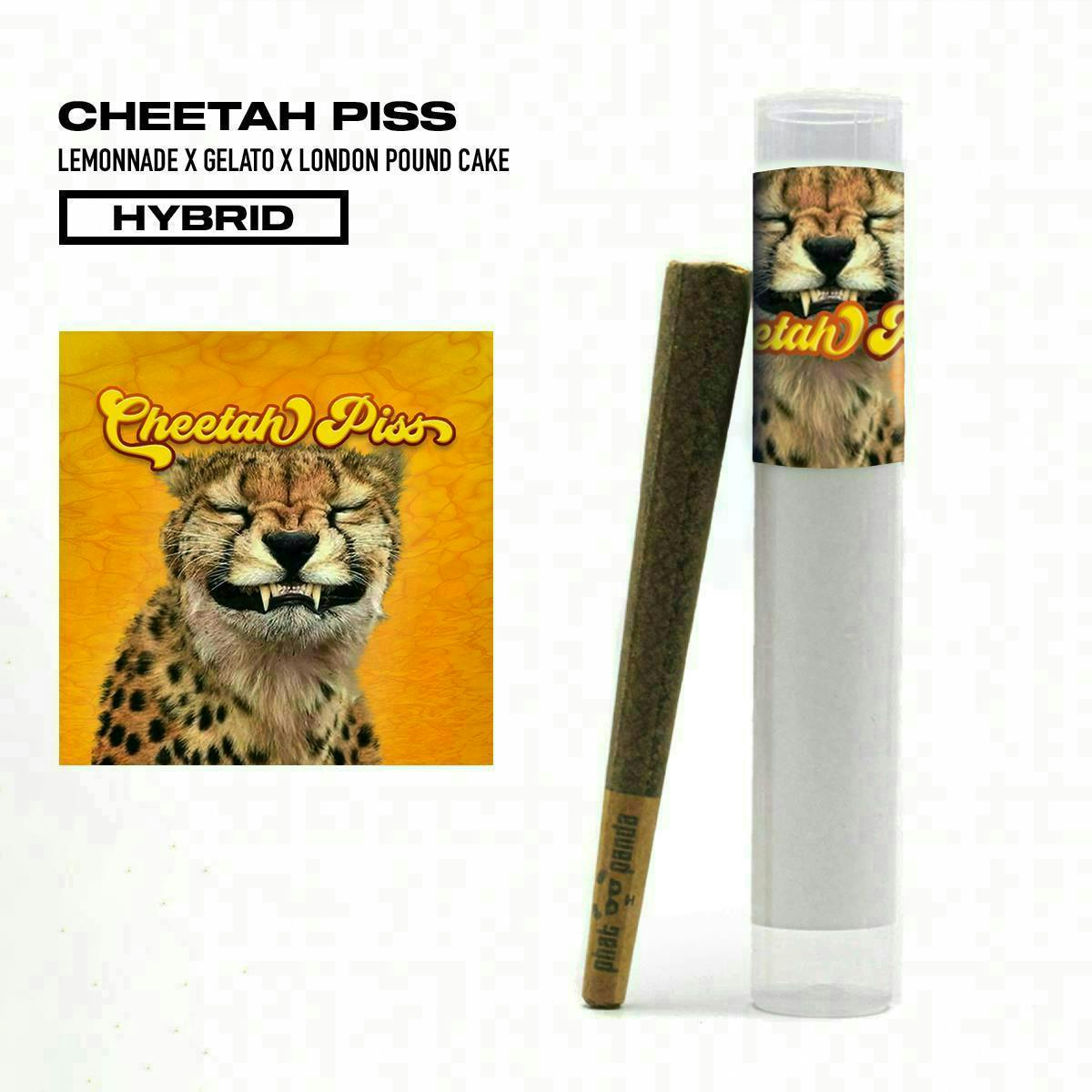 Cheetah Piss | Joint | 1g