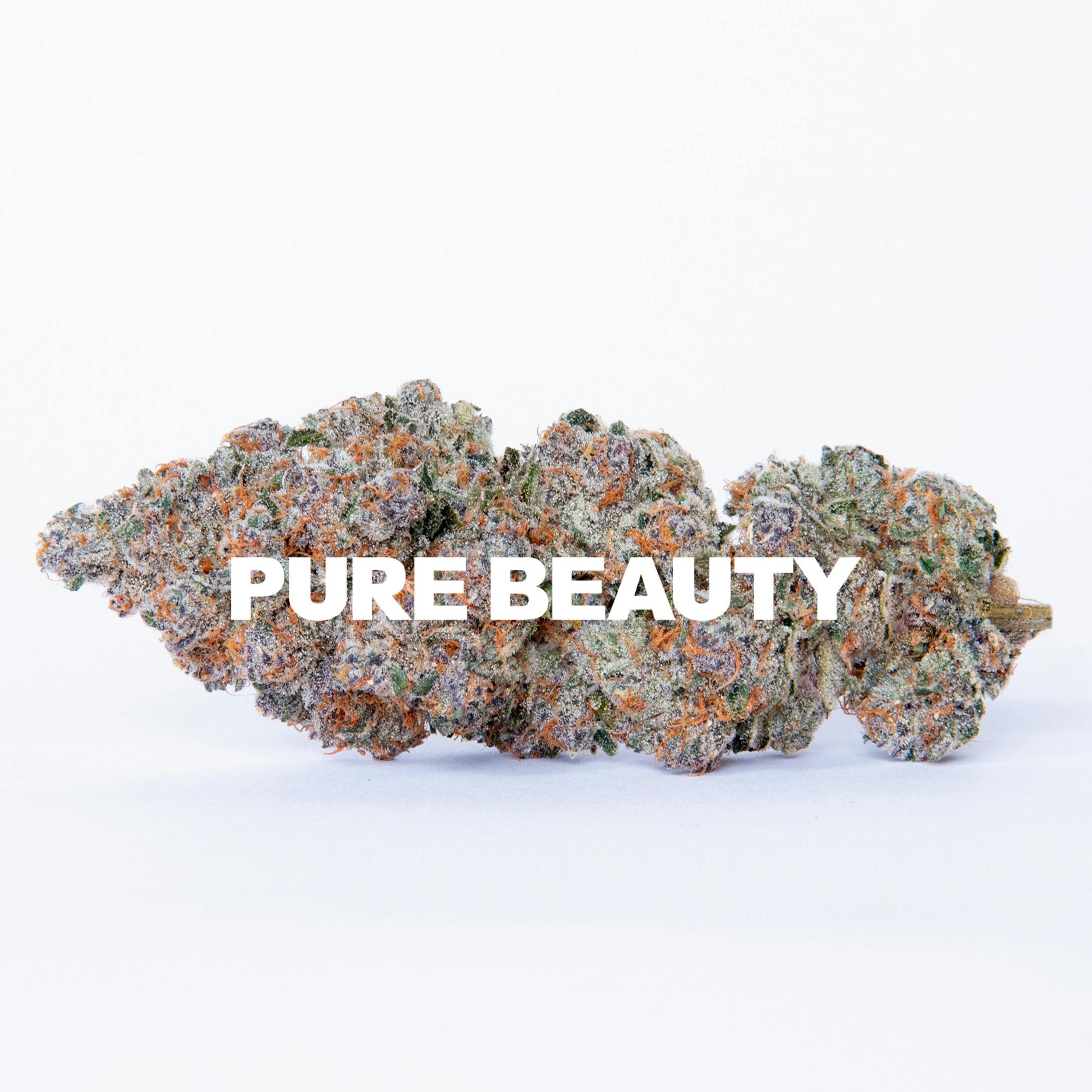 Pure Beauty — Midnight Snack