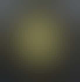 Concentrate - Cured Sugar - Ice Cream Cake + Triangle Mints