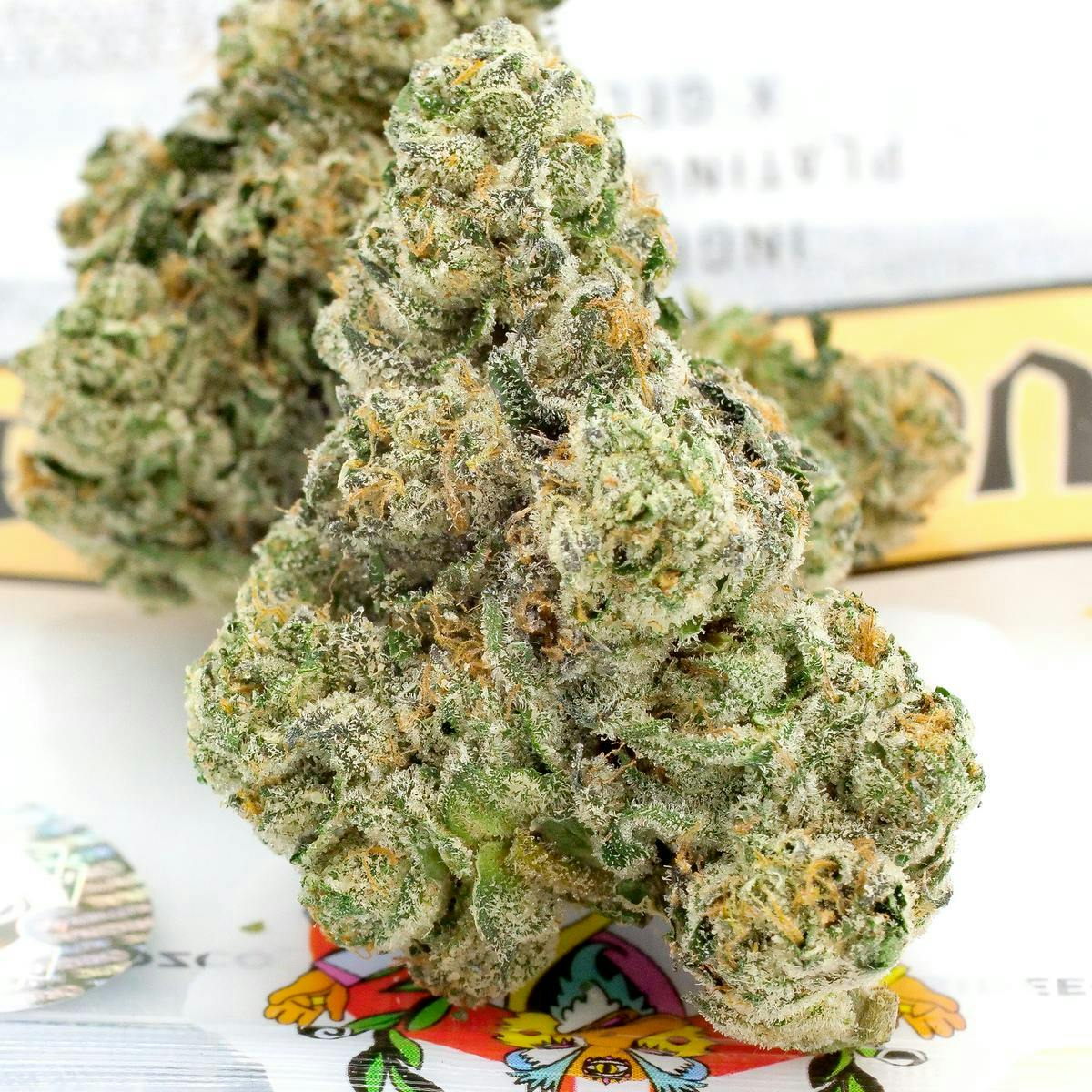 TEDS BUDZ — Sweet