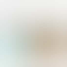 LIL LEFTYS Infused Prerolls - Maui Wowie 🥥 🌴