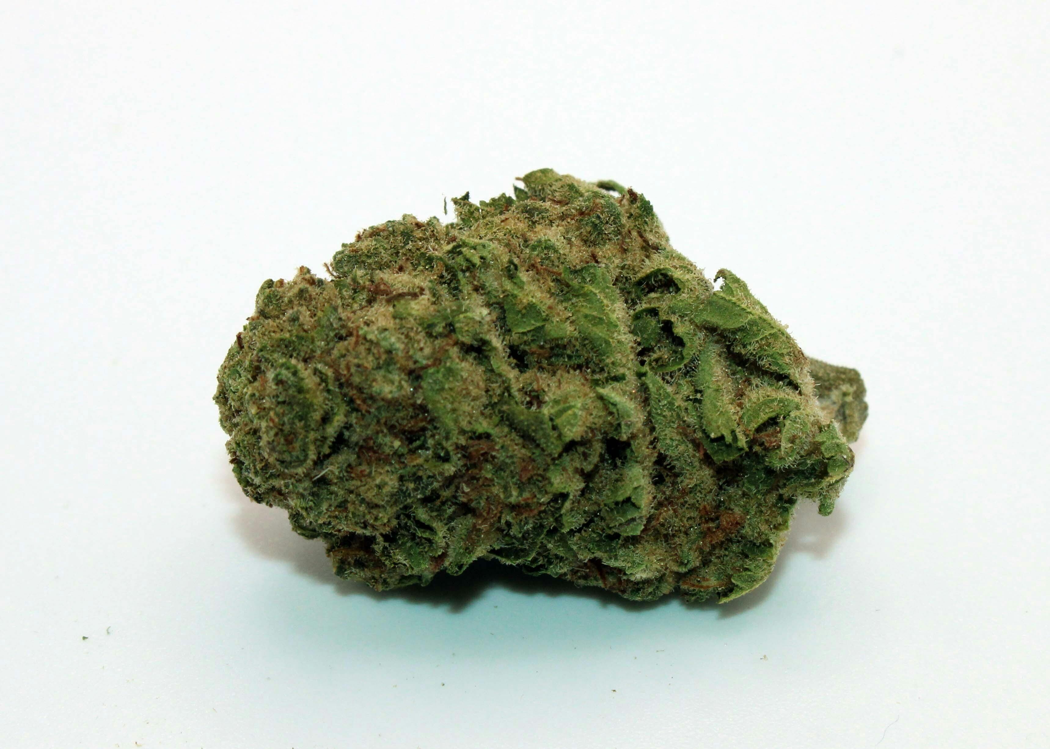 Trusty Transportations Pancakes 1/2 Ounce/14 Grams (26 THC, Hybrid