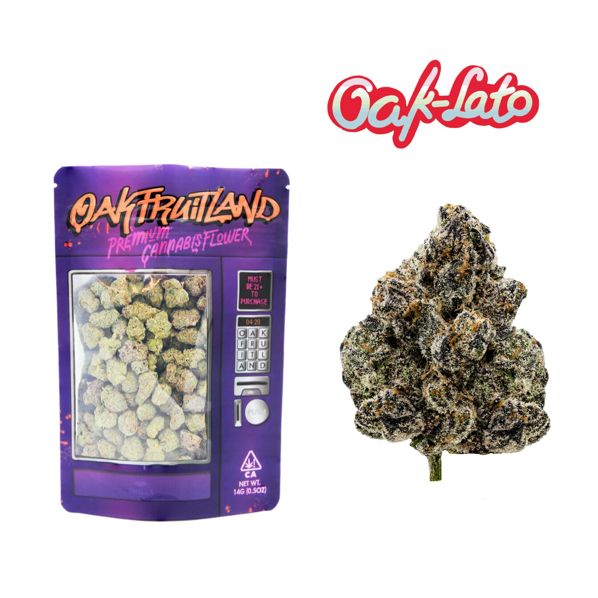 Oak-Lato Premium — Lemon Cherry Gelato