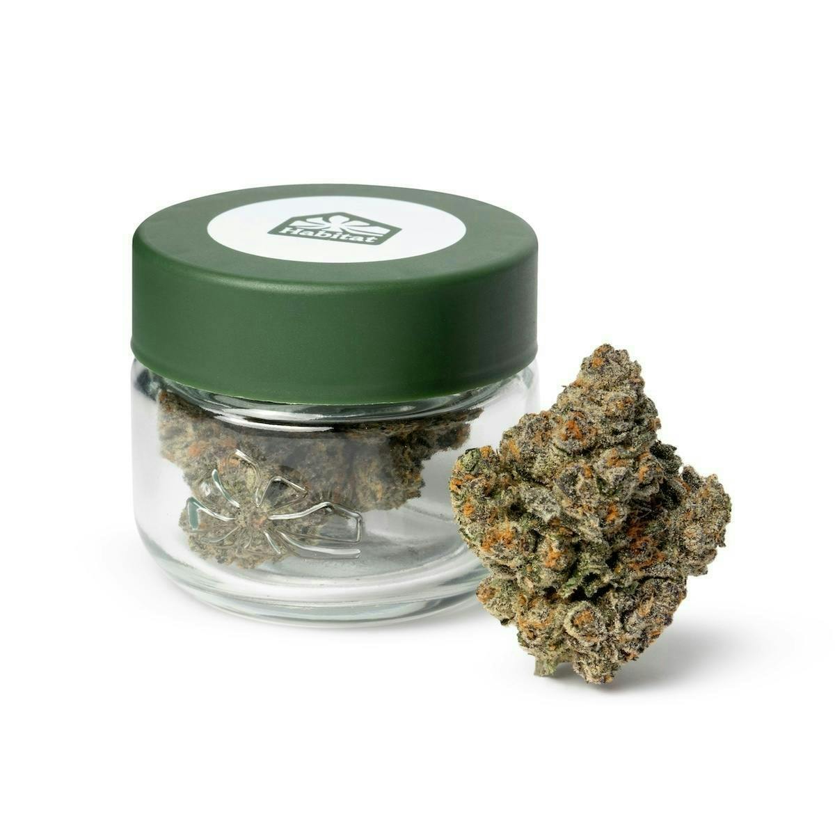 Habitat — Champagne Kush