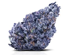 Guava Berry - Hybrid - 31% THC