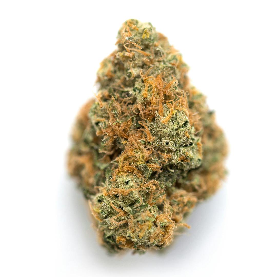 Oreoz THCa Strain | Flow Gardens