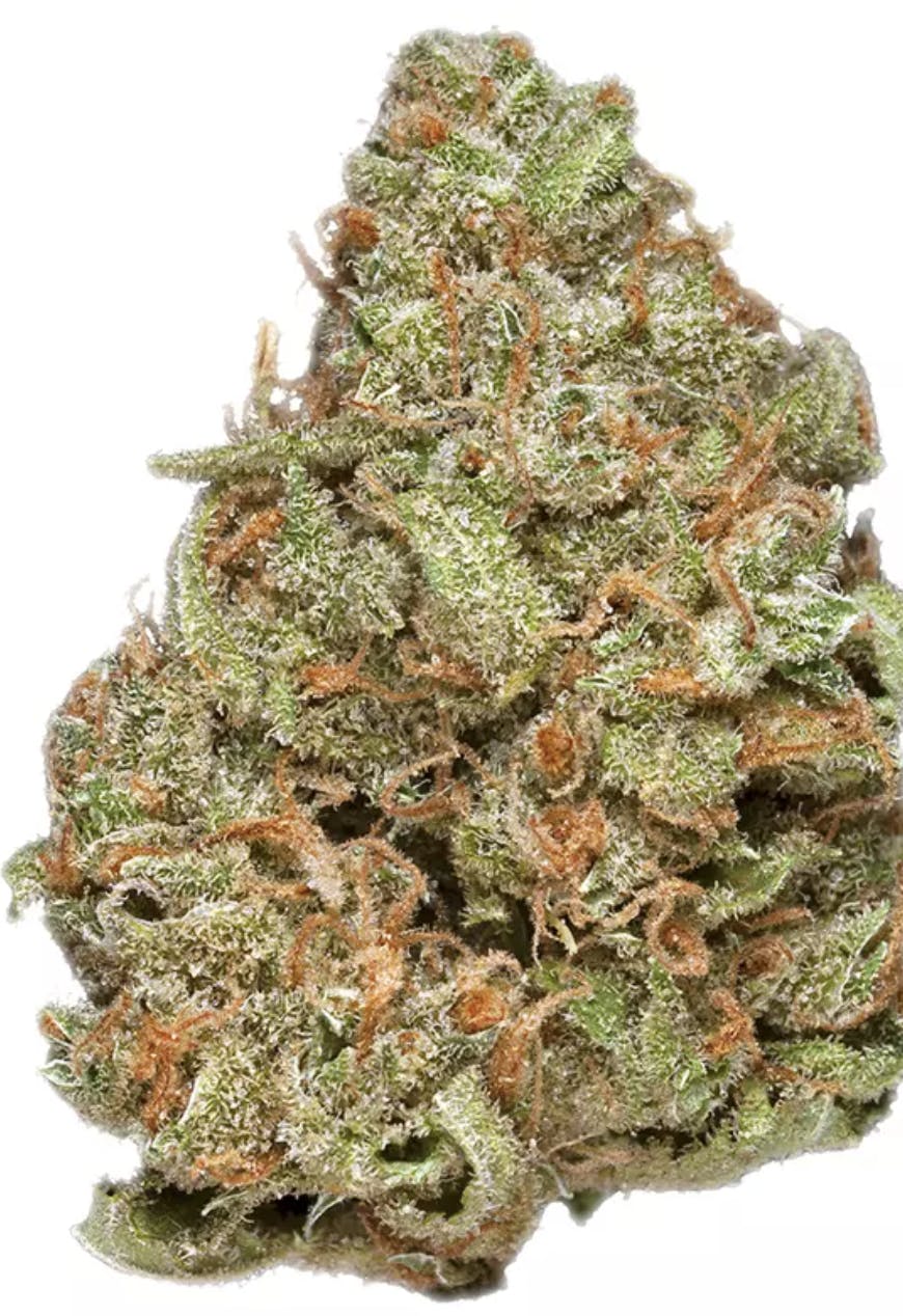 Cat Piss - Sativa - 28.92% THC