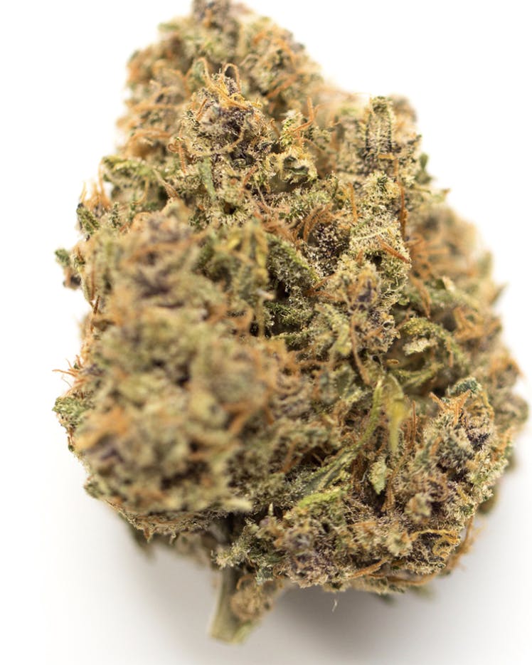 Critical Mass - Indica - 30.93% THC
