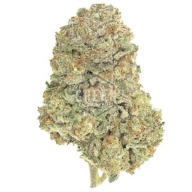 Jack Herer - Sativa - 32.96% THC