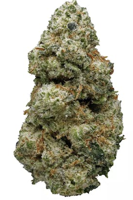 Alaskan Thunder Fuck - Sativa - 32.96% THC