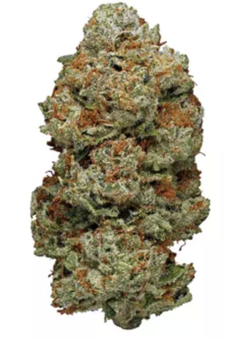 weed Grand Larry Purps Feminised Seeds - Aztech Smoke Shop