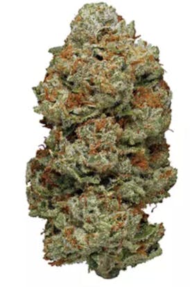 White Walker Og - Indica - 35.98% THC