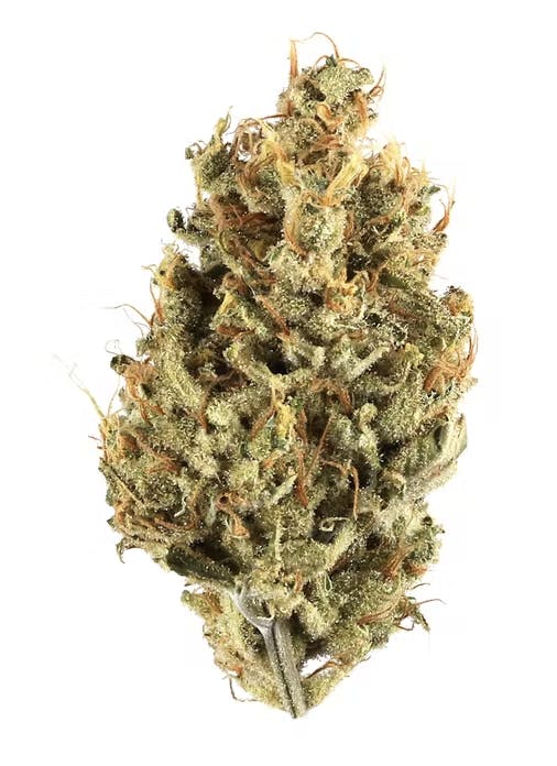 Jungle Cake -Hybrid-29% THC