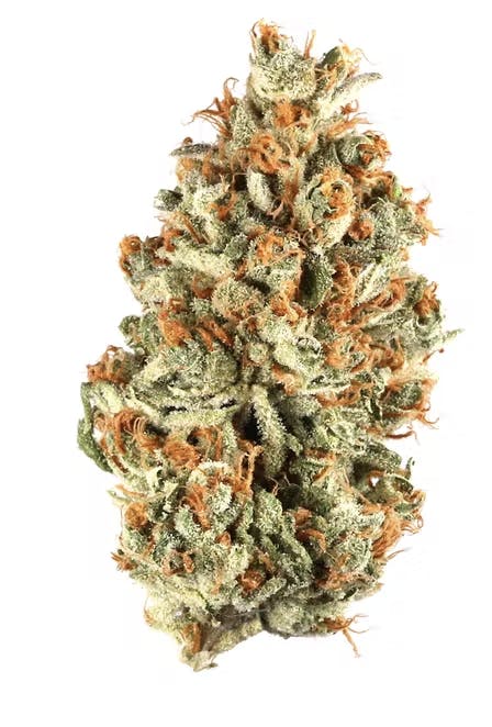 DRT クラッシュ9 low TRIBE WEED オリカラ クラッシュ9【TRIBEWEED】 | TRIBE NETSTORE