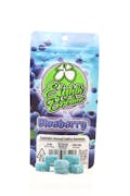 Eighth Brother | Blueberry Gummy 10pk | 100mg