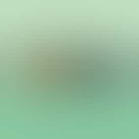 Gelato - Live Sugar - 1G