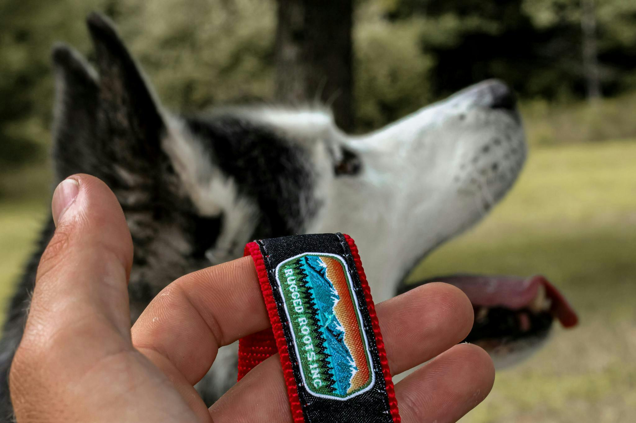 Rugged Roots - Dog Leash - Rugged Roots