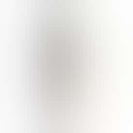 BLEM UNRULY OG FORM .75g Pre-Roll