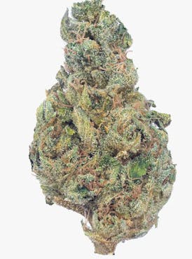 Ancient OG - Indica - 30.95% THC