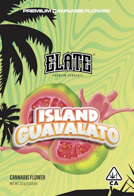 ISLAND GUAVALATO 14G SMALLS
