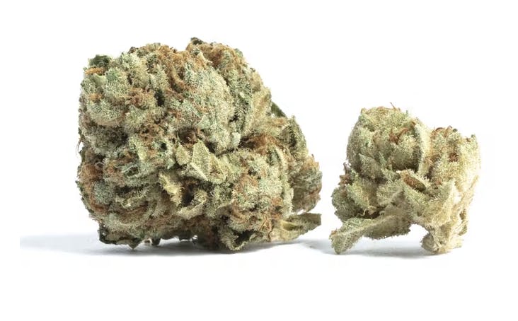 Strawberry Gelato - Hybrid - 31% THC
