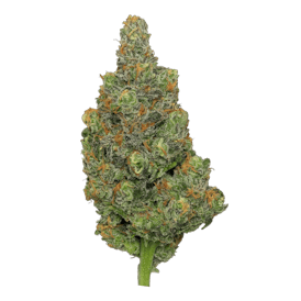 Blue Dream Deli Flower