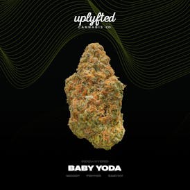 Baby Yoda Bulk- Deli