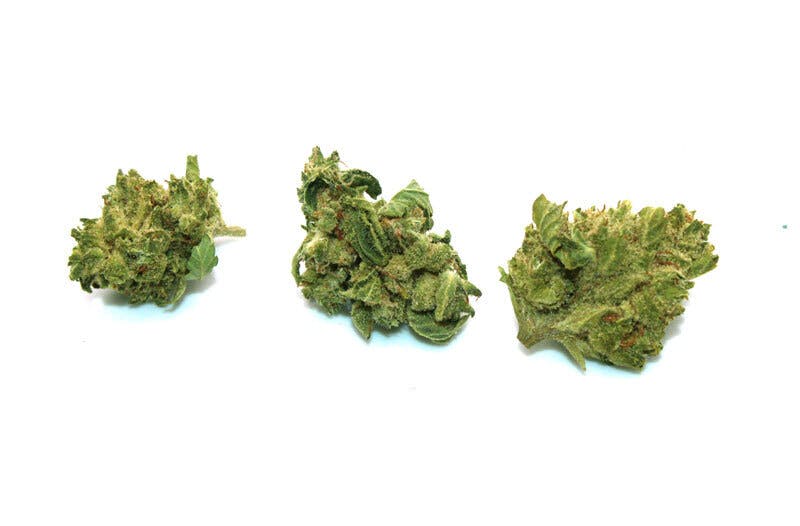 Trusty Transportations Cake Crasher Smalls 1 Gram (20 THC, Sativa