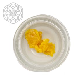 1g High Terpene Badder - Pontiac Black