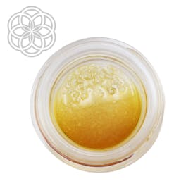 1g Terp Sauce - Grease Bucket