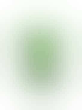 1000mg Apple Berry Gummies | Coastal Remedies