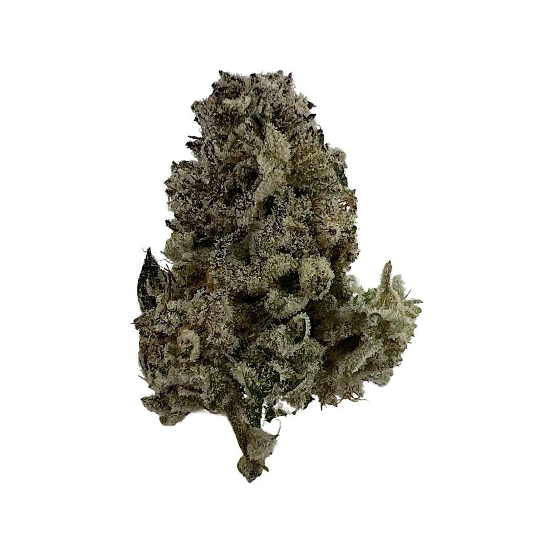 Mimosa Evo - Northeast Growing Company