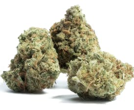 Pink Lemonade - Hybrid - 32% THC