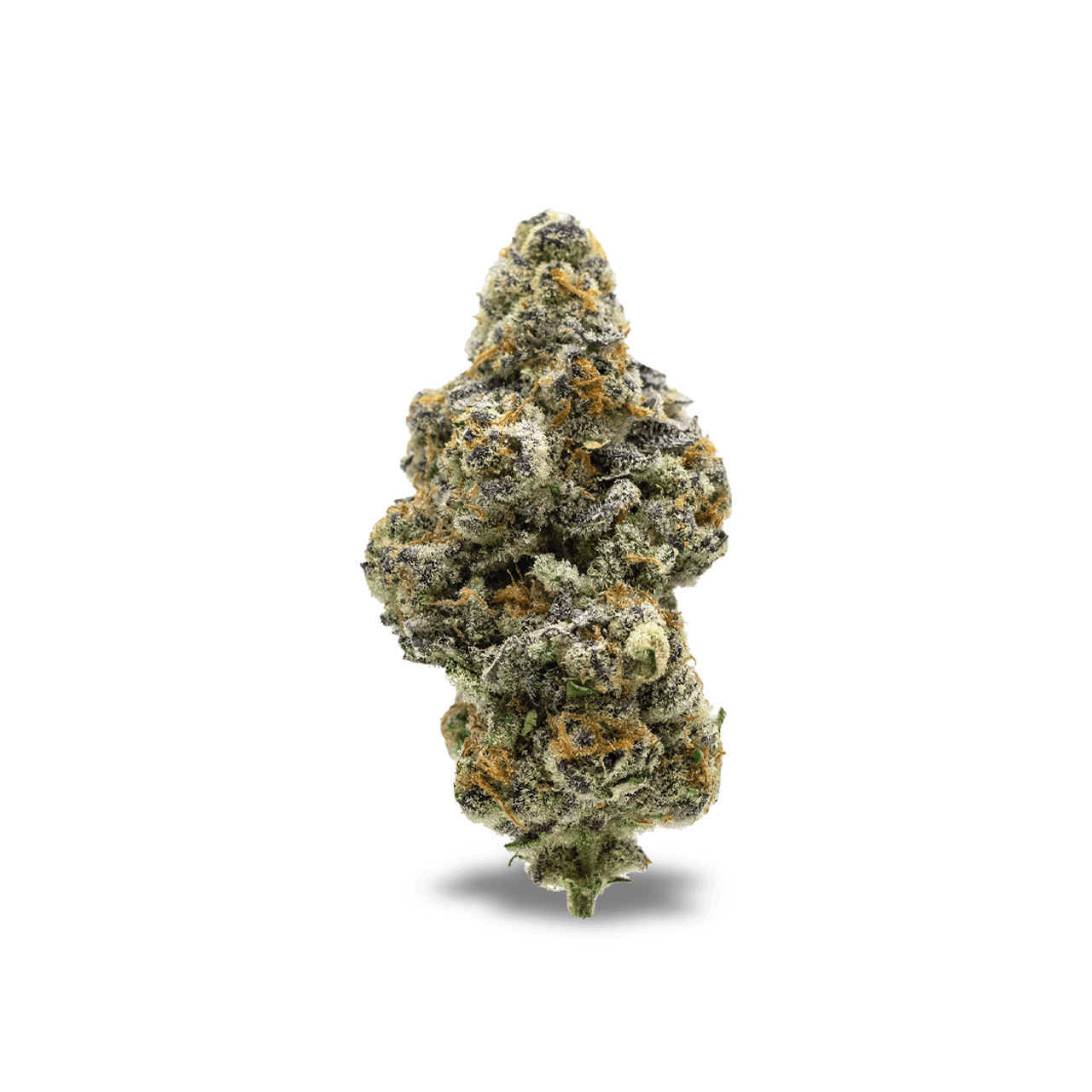 El Chivo | Buds | 1g by Society C