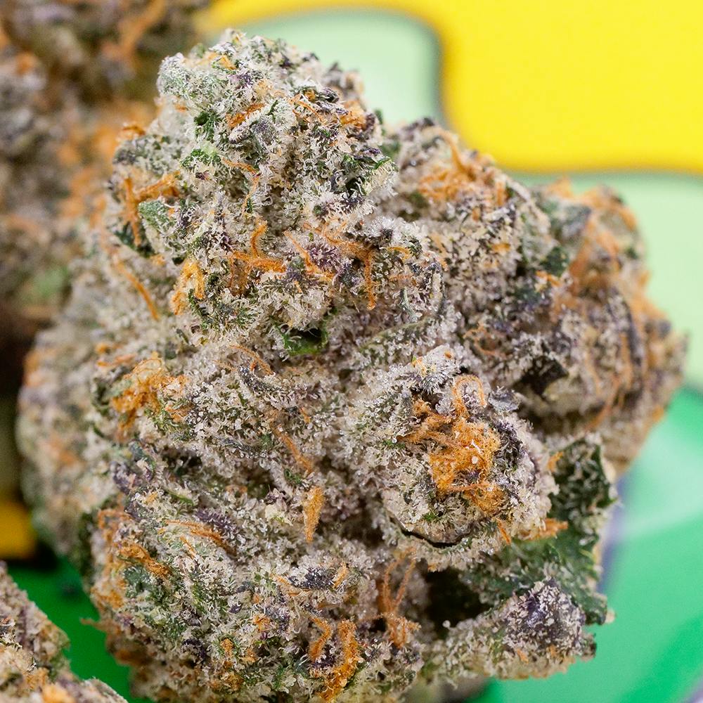 Jobstopper The Smoker's Club TEDS BUDZ