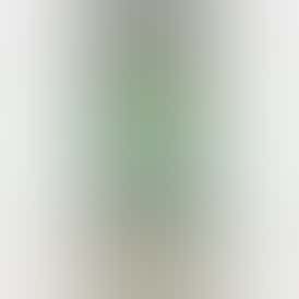 Kush Mints Hybrid (28g)