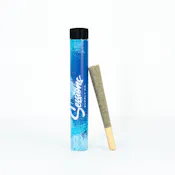 STIIIZY Sessions | Hawaiian Mango 1g Infused Preroll