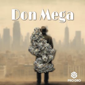 Don Mega